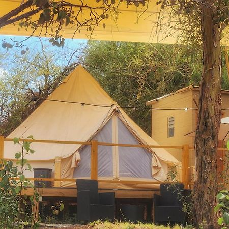 Glamping Dunas Del Sol San Pedro de Atacama Luaran gambar