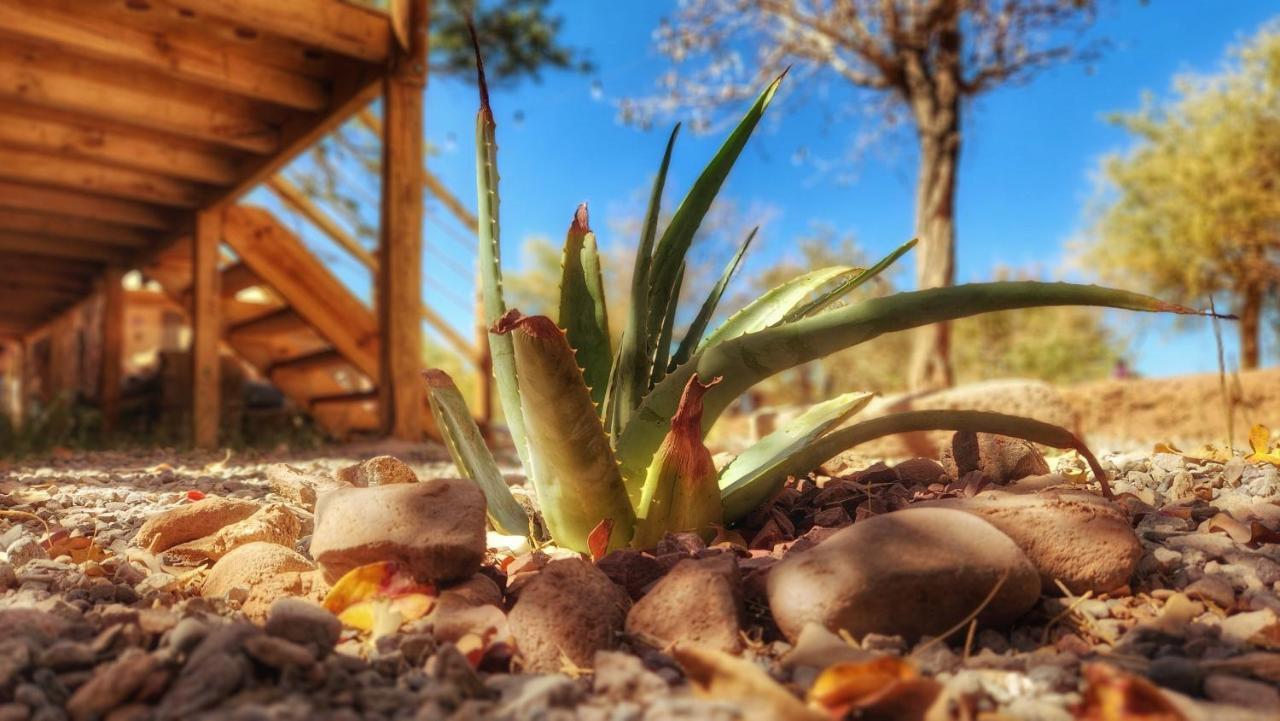 Glamping Dunas Del Sol San Pedro de Atacama Luaran gambar