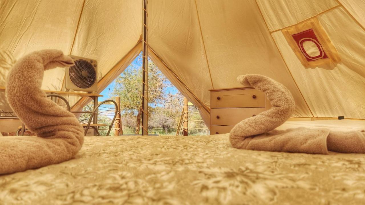 Glamping Dunas Del Sol San Pedro de Atacama Luaran gambar